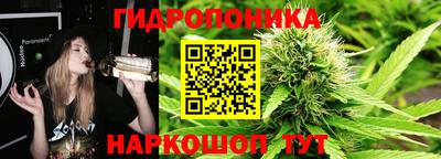 ПСИЛОЦИБИНОВЫЕ ГРИБЫ Аргун