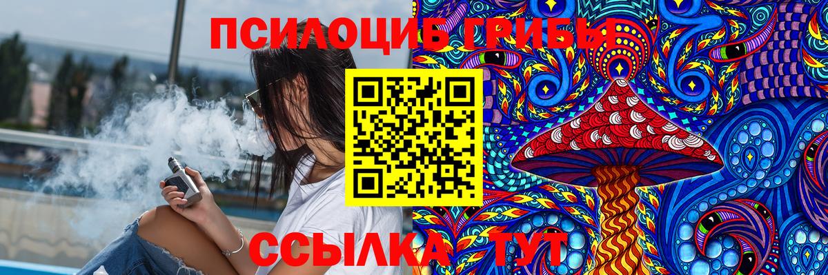 Бугуруслан  где купить наркоту  Вход с VPN  Псилоцибиновые грибы Psilocybine cubensis 